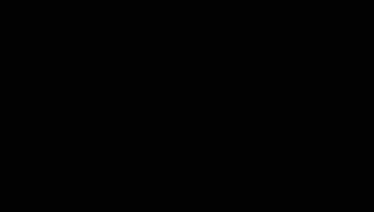 Черный (RR 33)