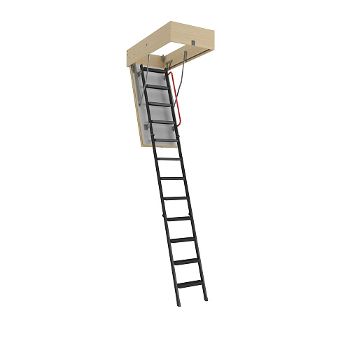 LTM